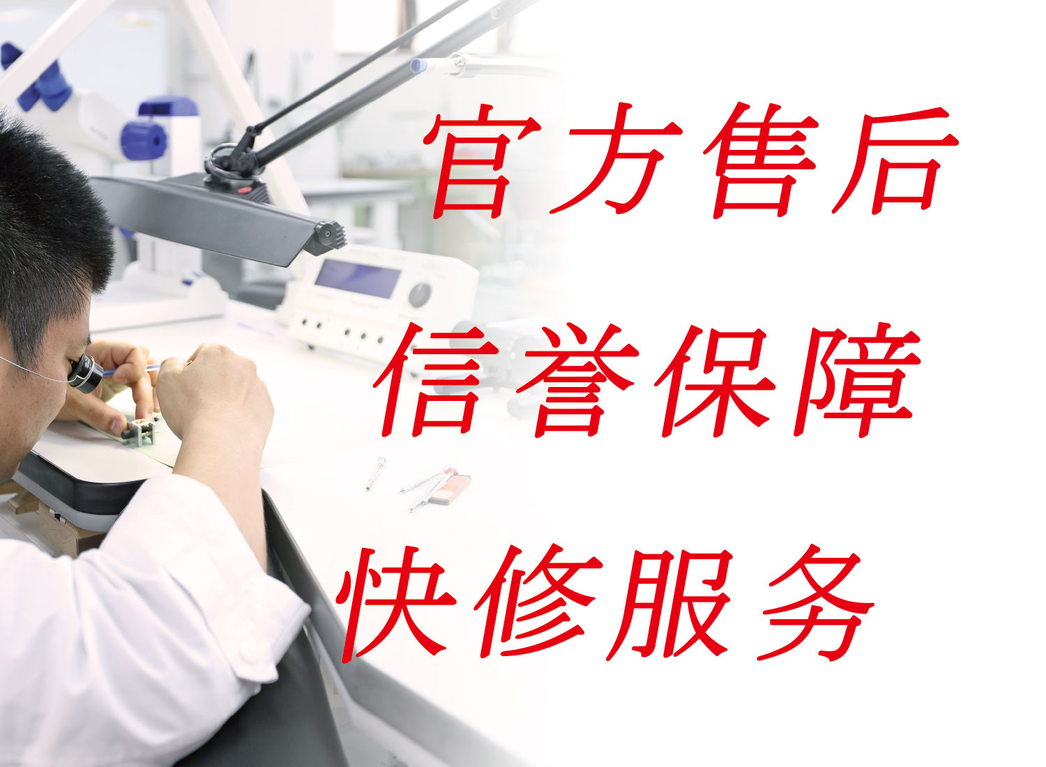 历史